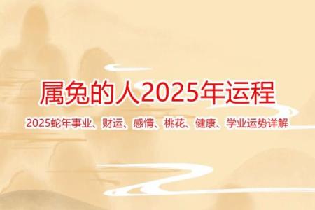 75年属兔人2025年多少岁_75年属兔人2025年多少岁