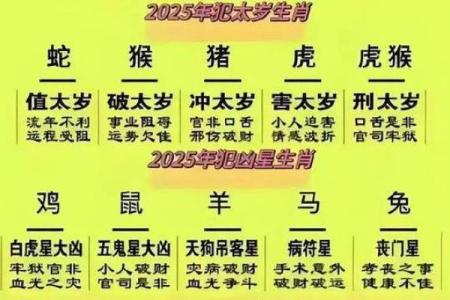 87年属兔男在2025年的全年运势详解 87年属兔38岁走大运