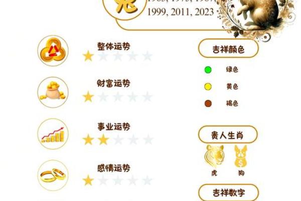 属兔人2025年运程 属兔人2025年运程视频