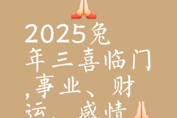 2025属兔人的全年运势_2025属兔人全年运势解析财运事业爱情全攻略