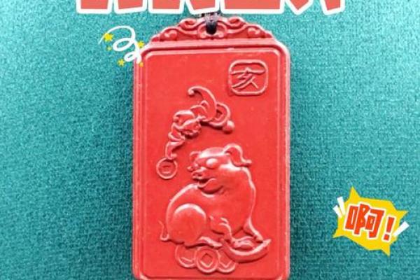 2025属猪带什么最旺_属猪人长期佩戴啥最好