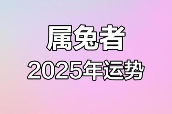 2025年兔的全年运势如何 2025年兔子