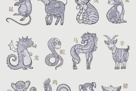 2024属猪要小心一个人 2024年属猪人需警惕小心身边这个人