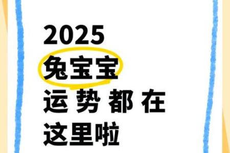 2025属兔人的运气和财运_2025年属兔人运势与财运全解析
