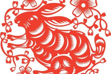 1987年属兔五行属什么_1999属兔的五行缺啥