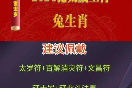 2024年属兔的多大 2024年属兔的年龄详解今年你几岁