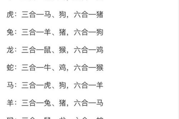 刀枪什么生肖最佳答案