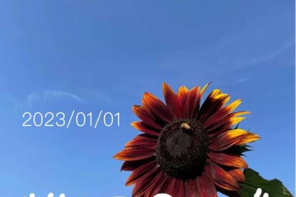 2023年的第一天