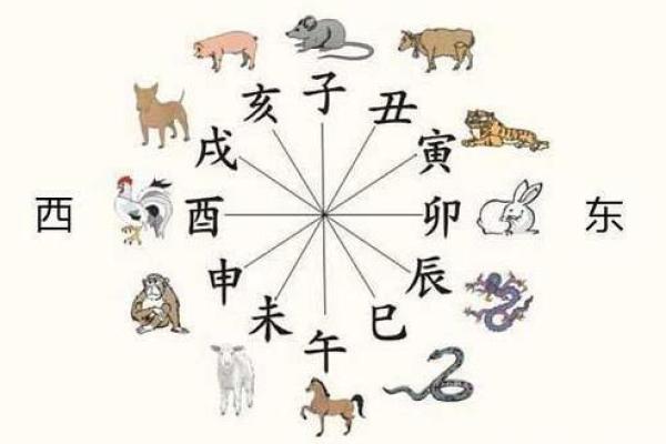 男属鸡女属龙相配吗 2024年农历五月解析男鸡女龙婚配相宜吗