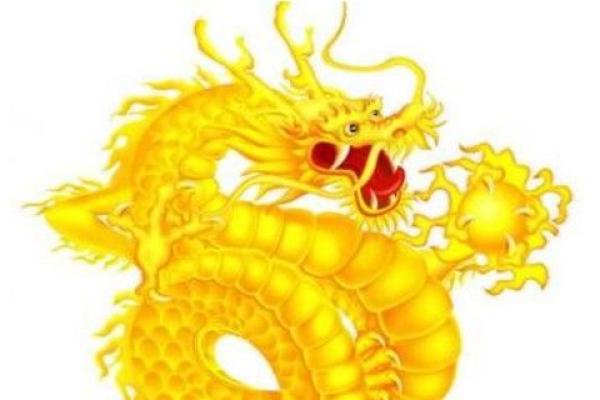 1976属龙旺财数字 1976年农历八月属龙人旺财数字揭秘