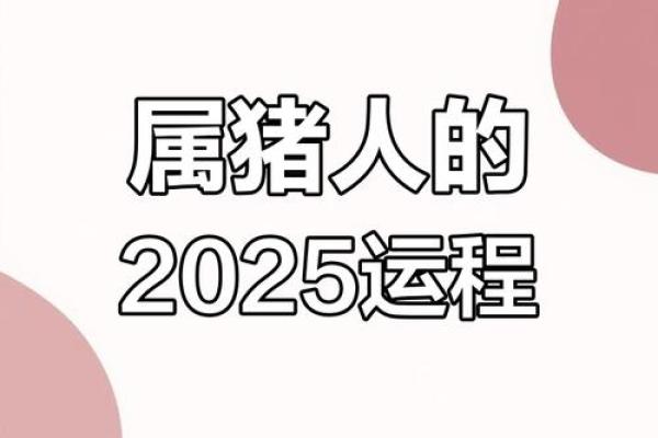 属猪2025年的运势怎么样_2025年属猪人运势详解财运事业感情全解析 属猪2025年的运势怎么样_2025年属猪人运势详解财运事业感情全解析