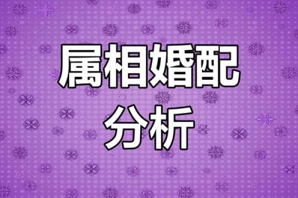 男属兔女属龙 男属兔女属龙夏末秋初婚恋运势全解析