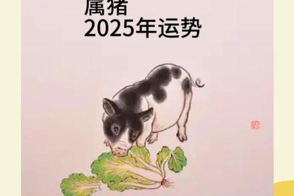 2025年属猪三合_2025年属猪三合运势解析事业财运双丰收 2025年属猪三合_2025年属猪三合运势解析事业财运双丰收