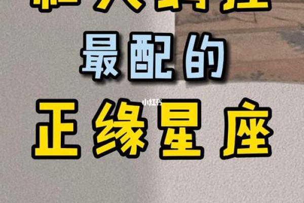 双子座男与天蝎座女的匹配程度(双子座男与天蝎座女的匹配程度是什么)