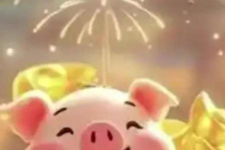 2025年属猪2007高考考运_2007年属猪2025高考运气怎样