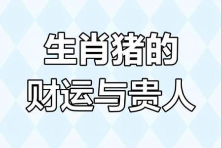2025年属猪的财运和运气如何_2025年71属猪人的全年运势如何