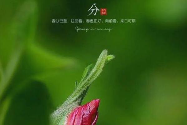 2022年几点几分立春