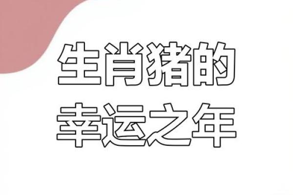 2025年属猪人幸运色揭秘提升运势的最佳选择 2025年属猪人幸运色揭秘提升运势的最佳选择