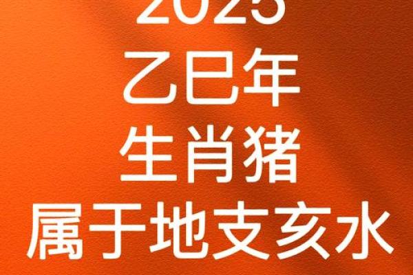 1995属猪女2025年全年运势如何_1995年女猪2022年运势运程