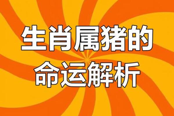 1971年属猪2025年运势详解全年运程大揭秘