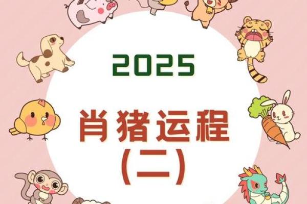 2025生肖猪运势及运程详解 2025年生肖猪运势详解全年运程大揭秘