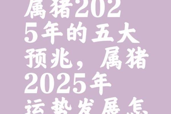 2025生肖猪运势及运程详解 2025年生肖猪运势详解全年运程大揭秘