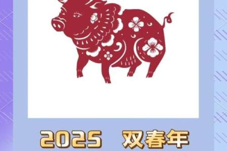 2025年属猪人年龄揭秘你几岁了