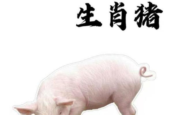 1983年属猪的婚姻和命运 1983年属猪的婚姻和命运农历初三