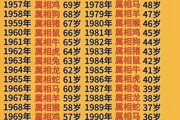 1996年2月14日属猪还是老鼠 1996年2月14日五行属什么