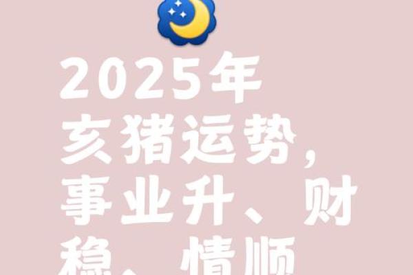 71年属猪人2025年幸运色揭秘助你运势飙升