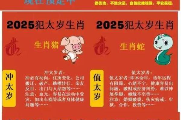 属猪今年多大了2025 属猪今年多大了岁数表