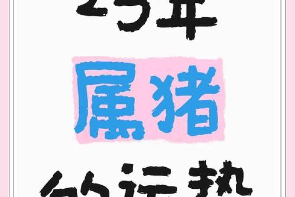 1995的猪在2025的运程 2025年1995年属猪人运势详解财运事业感情全解析