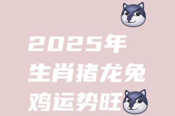 1995的猪在2025的运程 2025年属猪人运程解析1995年出生者运势大揭秘