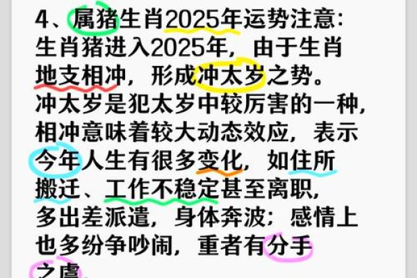 属猪的2025多大年龄了_2025年虚岁年龄表