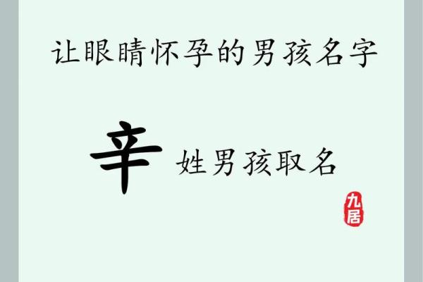 2019年6月13号子时出生的男孩起名方法姓名