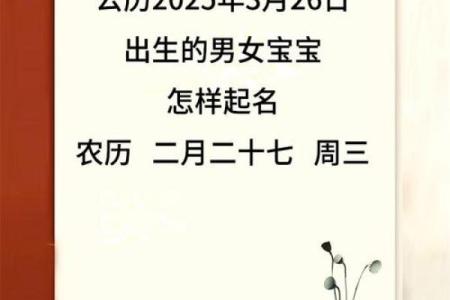 2019年3月26号午时出生的男孩如何起名姓名