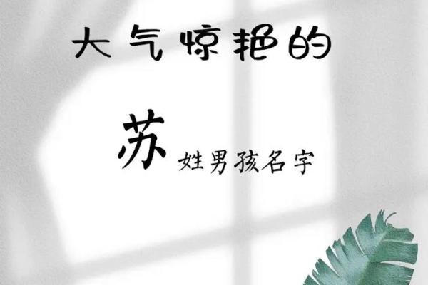 苏姓男孩名字大全-苏姓男孩起名字大全-苏姓名字大全姓名