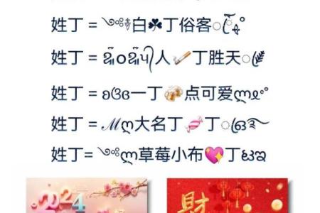 丁姓女孩名字大全-丁姓女孩起名字大全-丁姓名字大全姓名