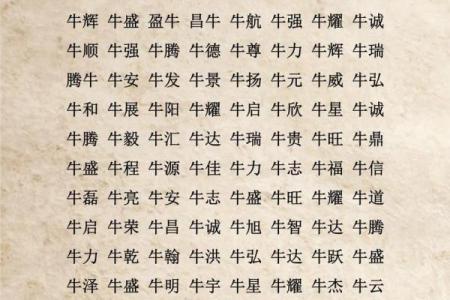 傍晚出生的属牛男孩如何起名姓名