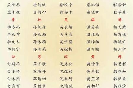 2019年3月21号酉时出生的男孩要怎么起名字姓名