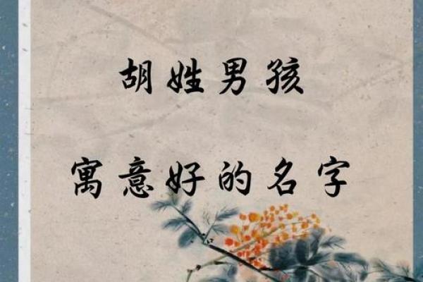 胡姓男孩名字大全-胡姓男孩起名字大全-胡姓名字大全姓名 胡姓男孩名字大全-胡姓男孩起名字大全-胡姓名字大全姓名