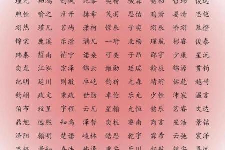 2019年6月11号子时出生的男孩如何起名姓名