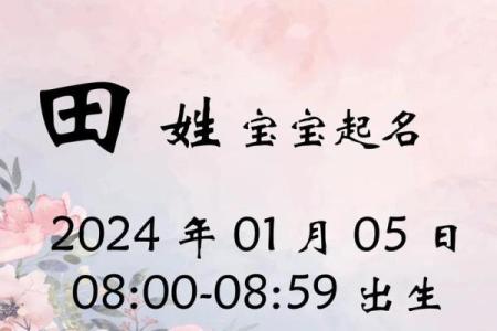 属兔辰时出生的男孩最好用什么字取名姓名