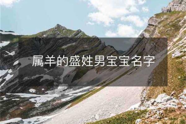 晚上八点出生的属羊男孩如何起名，应用什么字姓名