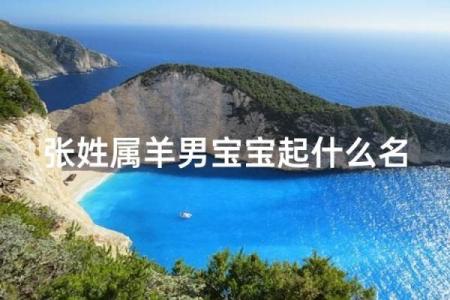 晚上八点出生的属羊男孩如何起名，应用什么字姓名