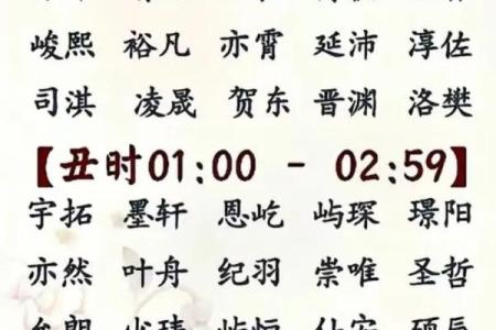 2019年3月28号巳时出生的男孩如何起名姓名