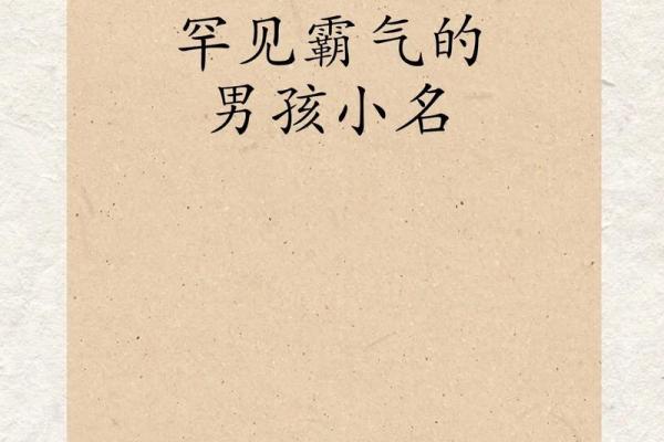 2019年3月31号亥时出生的男孩要怎么起名字姓名