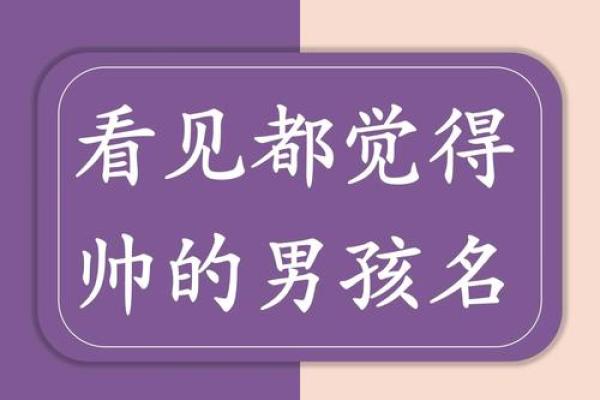 帅姓男孩名字大全-姓名学-华易算命网姓名