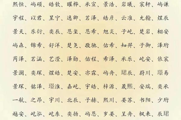 2019年4月26号丑时出生的男孩起名方法姓名