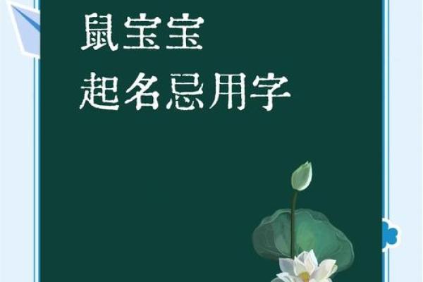 属鼠辰时出生的男孩宜用什么字取名字，怎样取名字姓名